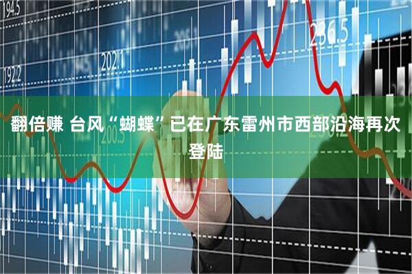 翻倍赚 台风“蝴蝶”已在广东雷州市西部沿海再次登陆