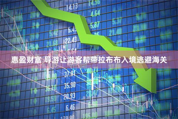 惠盈财富 导游让游客帮带拉布布入境逃避海关