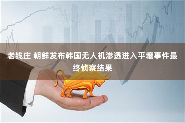 老钱庄 朝鲜发布韩国无人机渗透进入平壤事件最终侦察结果