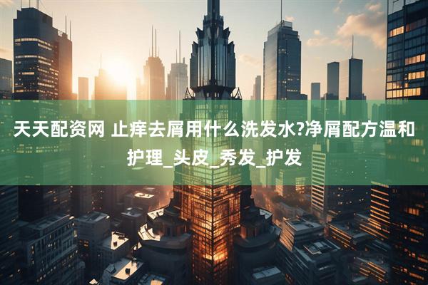 天天配资网 止痒去屑用什么洗发水?净屑配方温和护理_头皮_秀发_护发